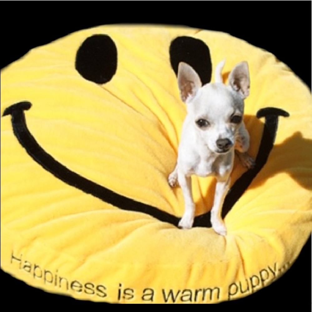 Dog Bed Cover Smiley Yellow